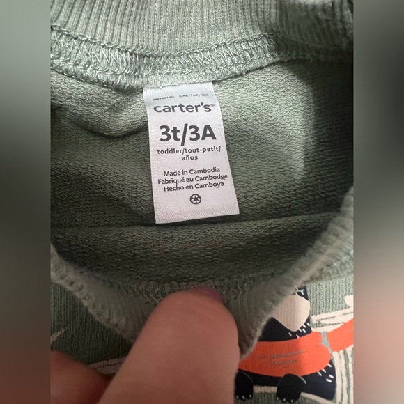 Carter’s Green Kids' Sweater with Skiing Design (Size 3T) - Picture 4 of 5